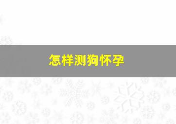 怎样测狗怀孕