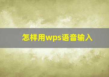 怎样用wps语音输入