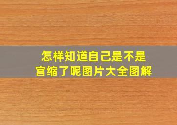 怎样知道自己是不是宫缩了呢图片大全图解