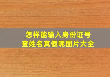 怎样能输入身份证号查姓名真假呢图片大全