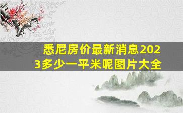 悉尼房价最新消息2023多少一平米呢图片大全