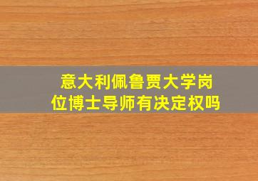 意大利佩鲁贾大学岗位博士导师有决定权吗