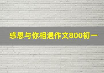 感恩与你相遇作文800初一