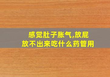 感觉肚子胀气,放屁放不出来吃什么药管用