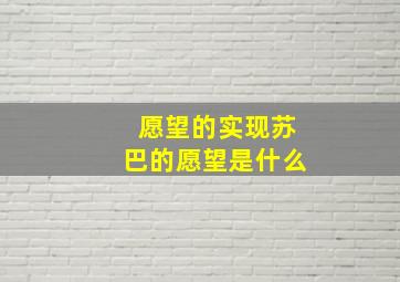 愿望的实现苏巴的愿望是什么