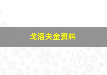 戈洛夫金资料