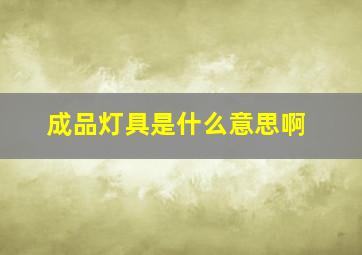 成品灯具是什么意思啊