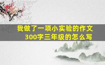 我做了一项小实验的作文300字三年级的怎么写