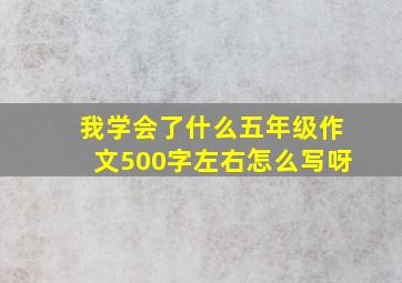 我学会了什么五年级作文500字左右怎么写呀