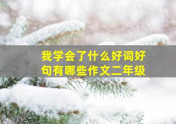 我学会了什么好词好句有哪些作文二年级