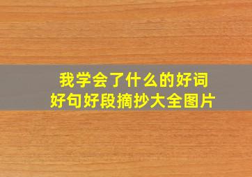 我学会了什么的好词好句好段摘抄大全图片