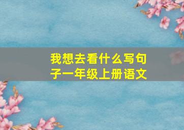 我想去看什么写句子一年级上册语文