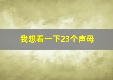 我想看一下23个声母