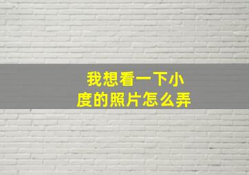 我想看一下小度的照片怎么弄