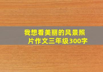 我想看美丽的风景照片作文三年级300字