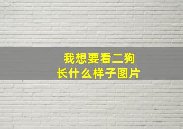 我想要看二狗长什么样子图片