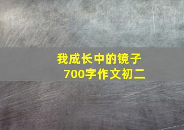 我成长中的镜子700字作文初二