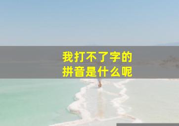 我打不了字的拼音是什么呢