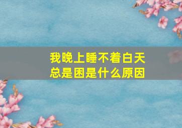 我晚上睡不着白天总是困是什么原因