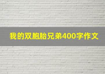 我的双胞胎兄弟400字作文