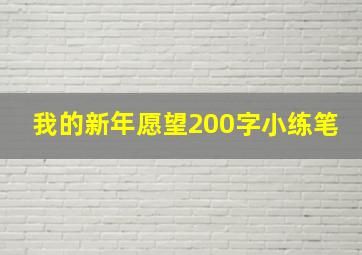 我的新年愿望200字小练笔