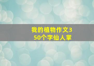 我的植物作文350个字仙人掌