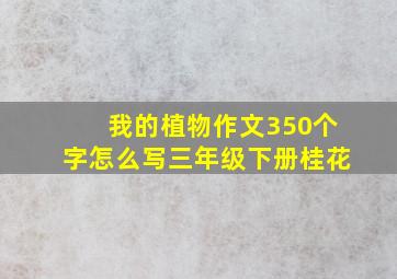 我的植物作文350个字怎么写三年级下册桂花