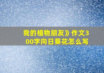 我的植物朋友》作文300字向日葵花怎么写