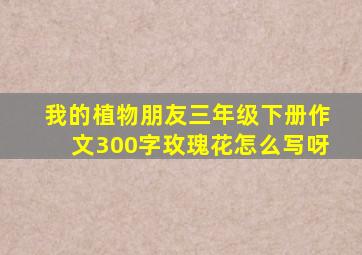 我的植物朋友三年级下册作文300字玫瑰花怎么写呀