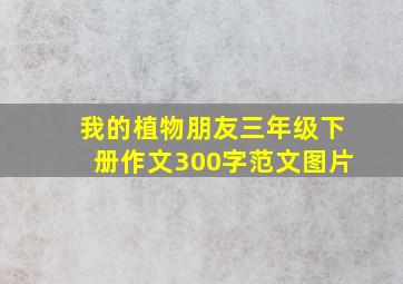 我的植物朋友三年级下册作文300字范文图片