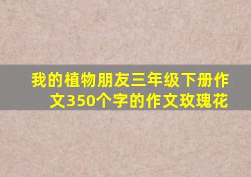 我的植物朋友三年级下册作文350个字的作文玫瑰花