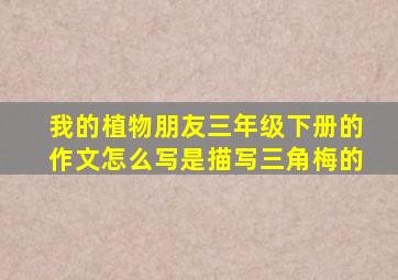 我的植物朋友三年级下册的作文怎么写是描写三角梅的