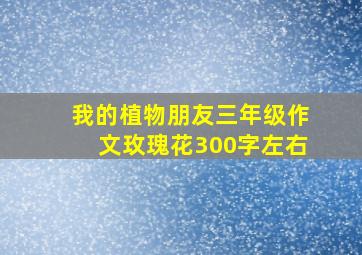 我的植物朋友三年级作文玫瑰花300字左右