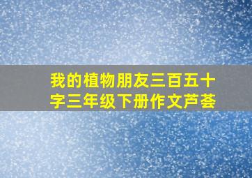 我的植物朋友三百五十字三年级下册作文芦荟