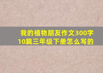 我的植物朋友作文300字10篇三年级下册怎么写的