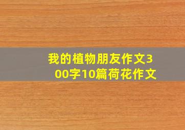 我的植物朋友作文300字10篇荷花作文