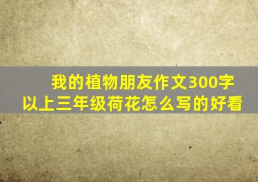 我的植物朋友作文300字以上三年级荷花怎么写的好看