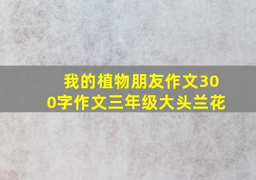 我的植物朋友作文300字作文三年级大头兰花