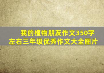 我的植物朋友作文350字左右三年级优秀作文大全图片