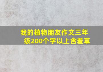 我的植物朋友作文三年级200个字以上含羞草