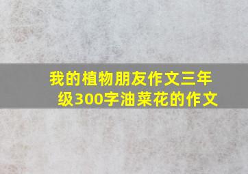 我的植物朋友作文三年级300字油菜花的作文