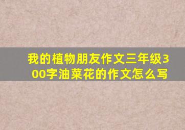 我的植物朋友作文三年级300字油菜花的作文怎么写