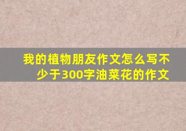 我的植物朋友作文怎么写不少于300字油菜花的作文