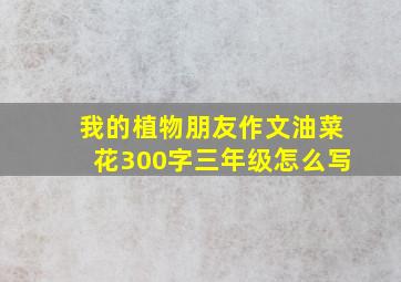 我的植物朋友作文油菜花300字三年级怎么写