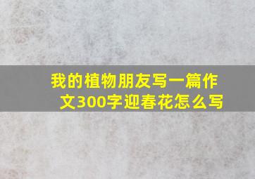 我的植物朋友写一篇作文300字迎春花怎么写