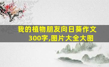 我的植物朋友向日葵作文300字,图片大全大图