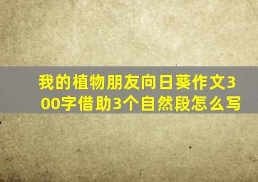 我的植物朋友向日葵作文300字借助3个自然段怎么写