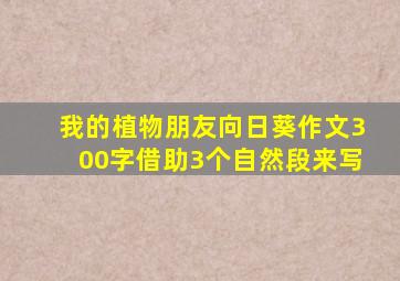 我的植物朋友向日葵作文300字借助3个自然段来写