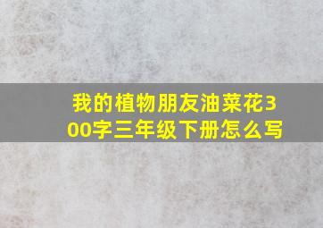 我的植物朋友油菜花300字三年级下册怎么写