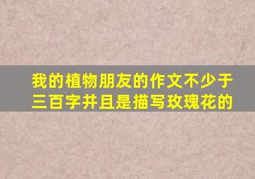 我的植物朋友的作文不少于三百字并且是描写玫瑰花的